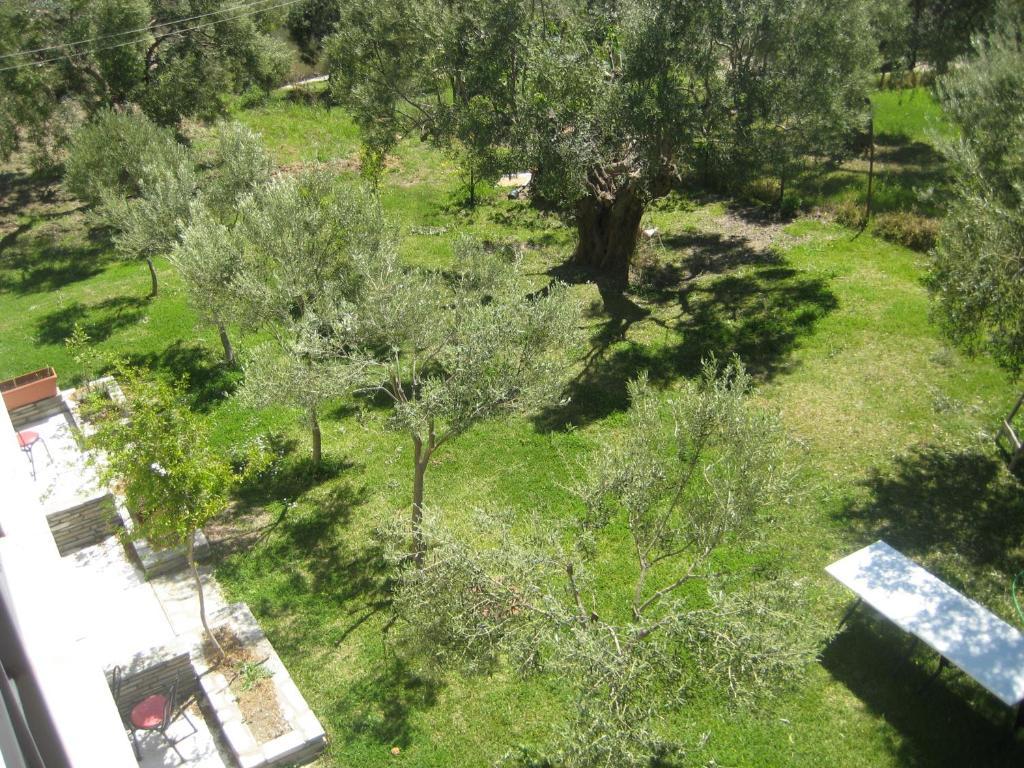 Petradaki Apartments Мола-Калива Номер фото