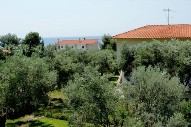 Petradaki Apartments Мола-Калива Экстерьер фото
