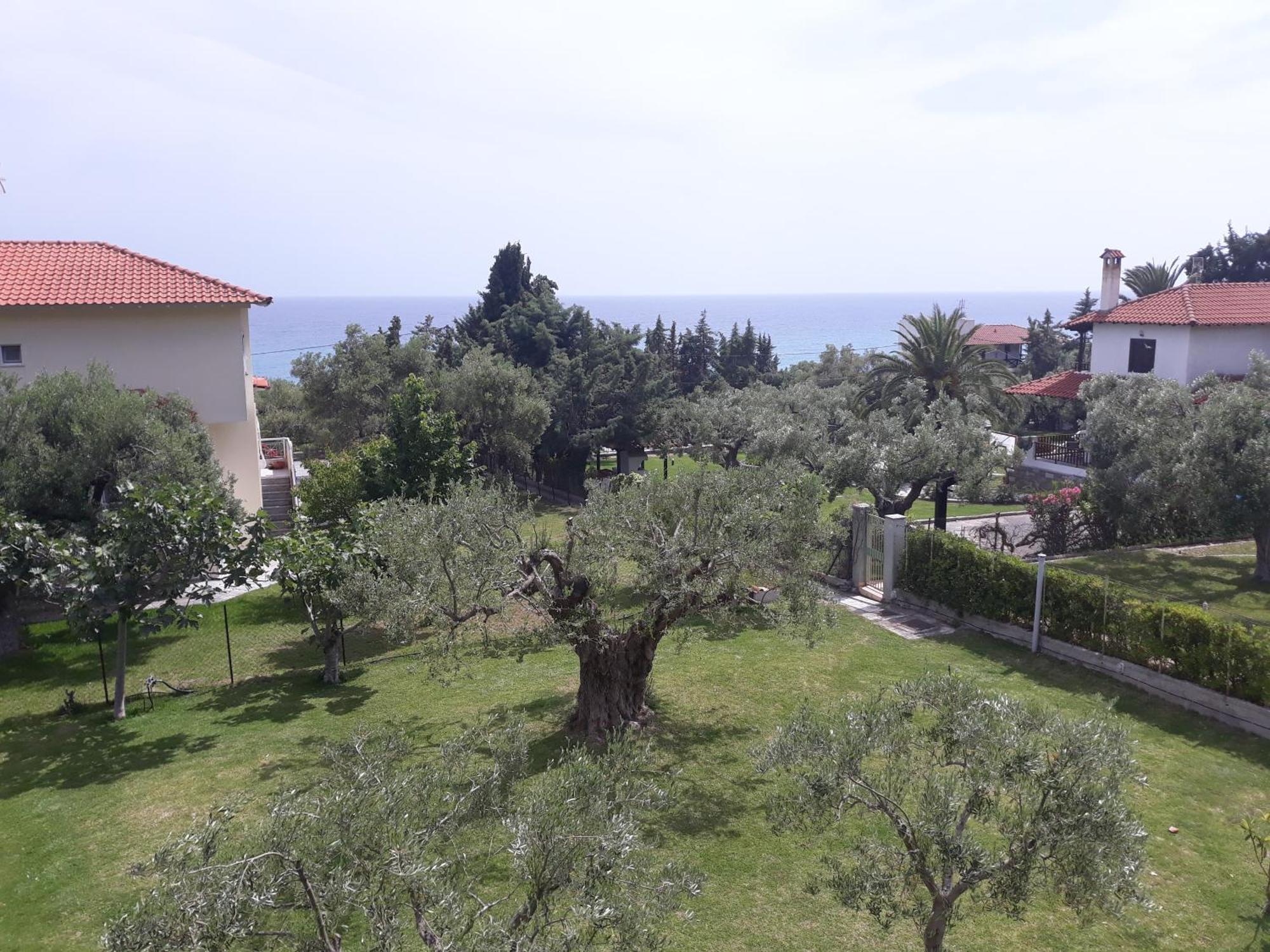 Petradaki Apartments Мола-Калива Номер фото